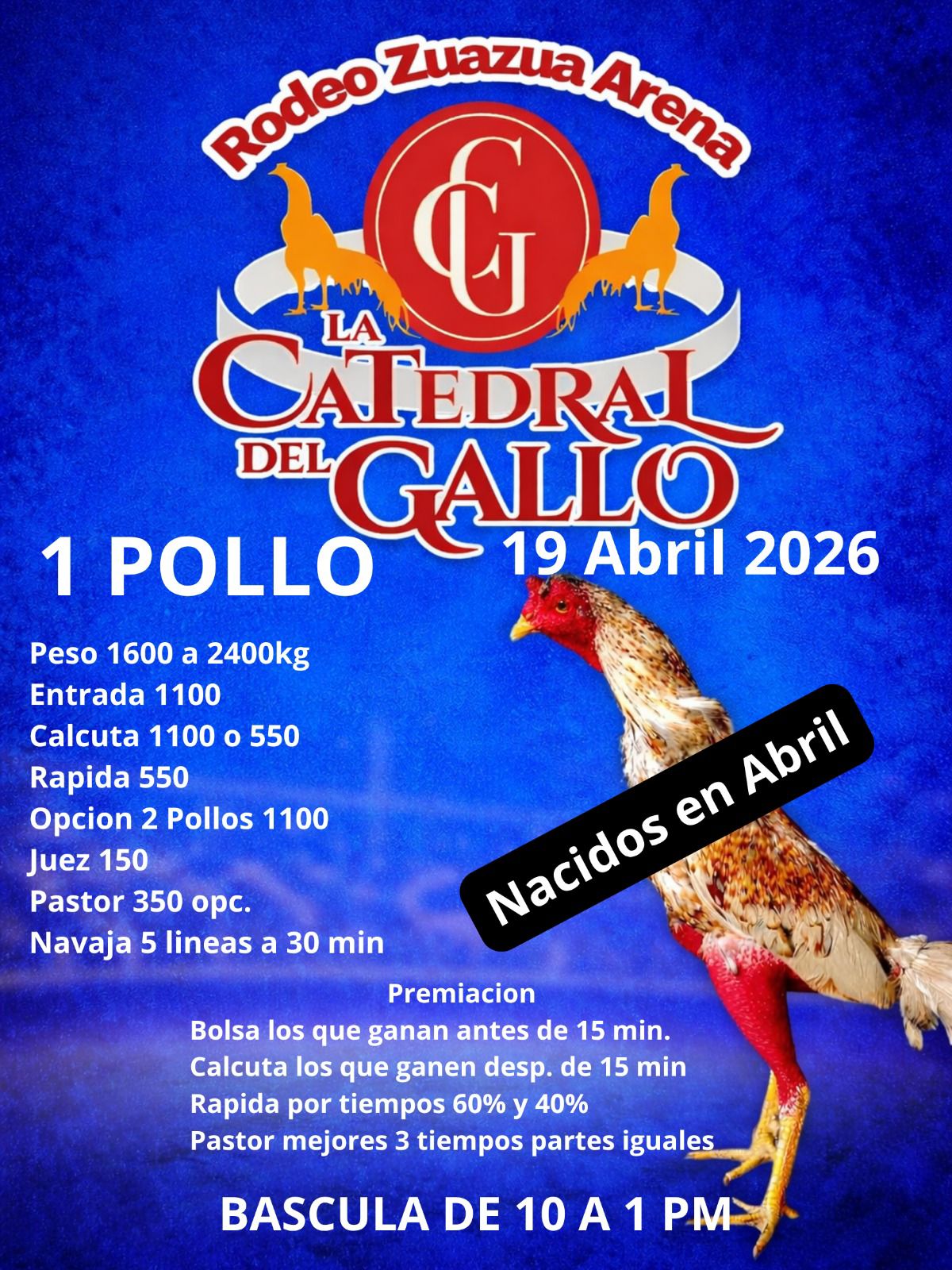 TORNEO DE 1 POLLONACIDOS EN ABRIL